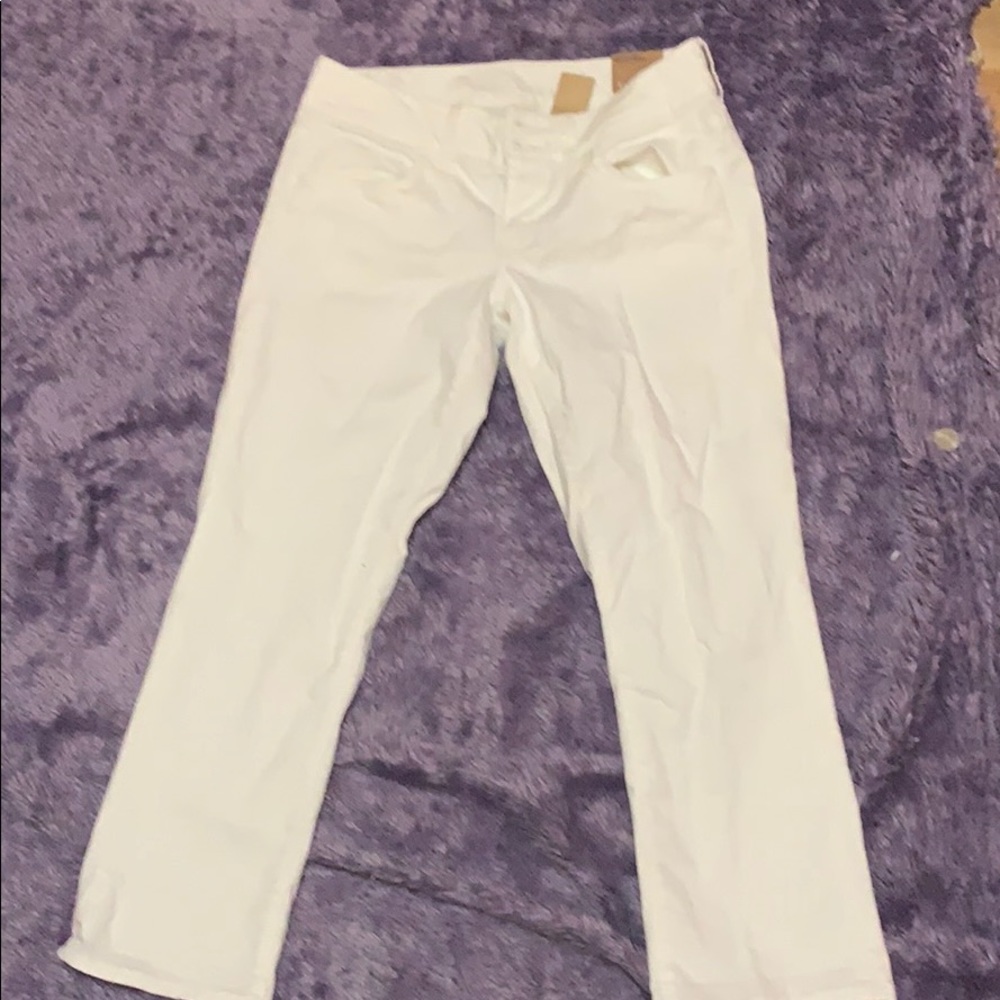 Artist cropped white